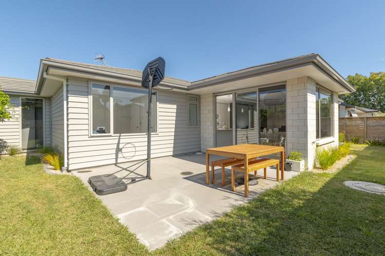 50c Sixteenth Avenue Tauranga South_1