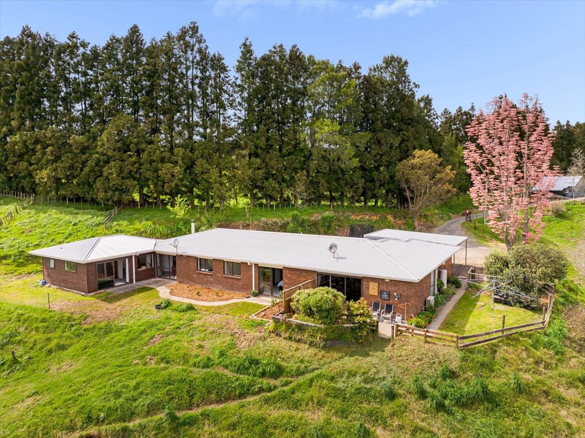 1538 State Highway 2 Whakamarama_0