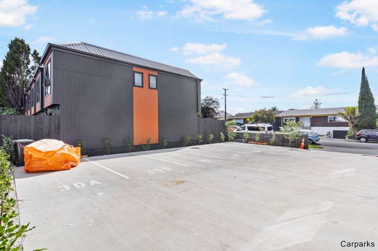 30A Alverston Street Waterview_15