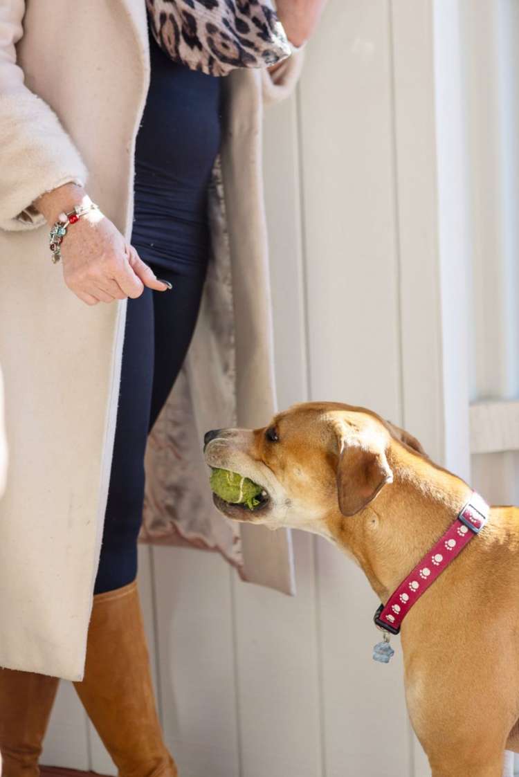 20A Tiora Place Upper Riccarton_23