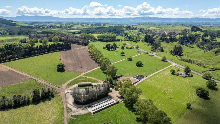 774 Buckland Road Matamata_12