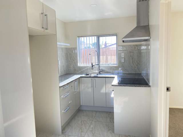 3A Dreifuss Place Mangere East_1