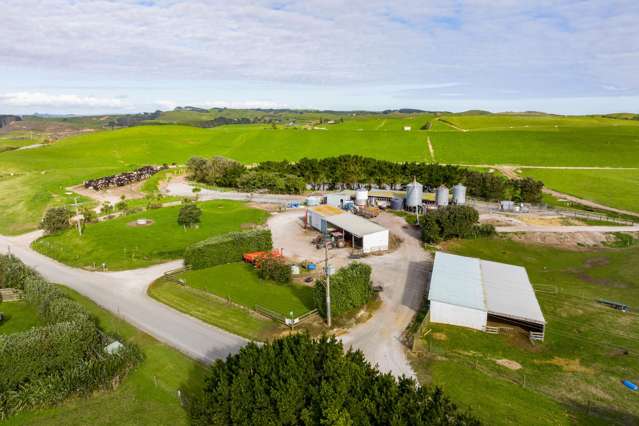 559 Mahuta Road Dargaville_2