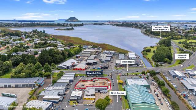 15 Birch Avenue Judea_1