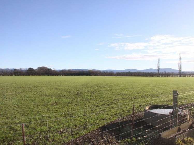 1821 North Eyre Road West Eyreton_3