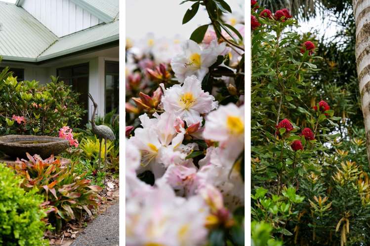 40 Walden Lane Te Puna_15