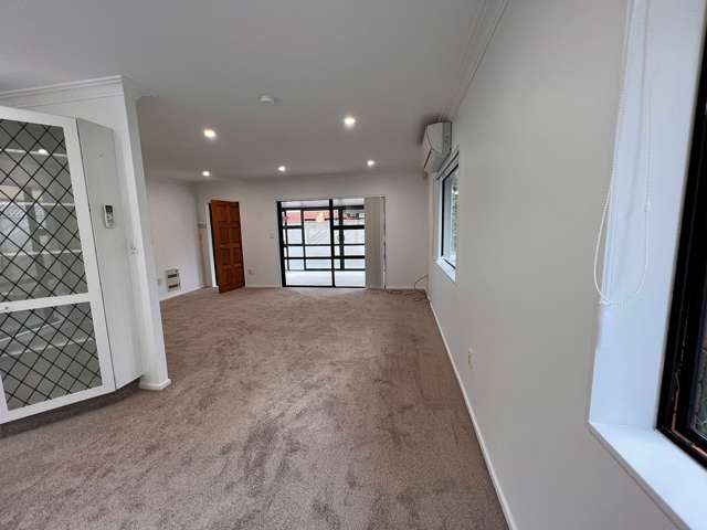 13B Wairakei Street Greenlane_2