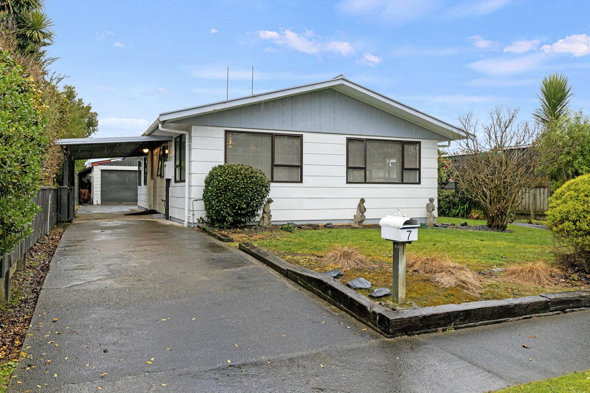 7 Pain Street Bulls_0