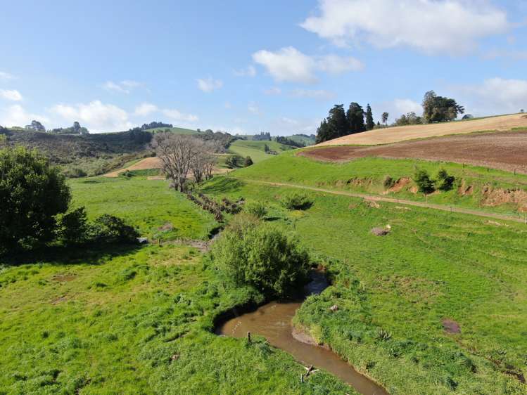 48 Barber Road Otewa_9