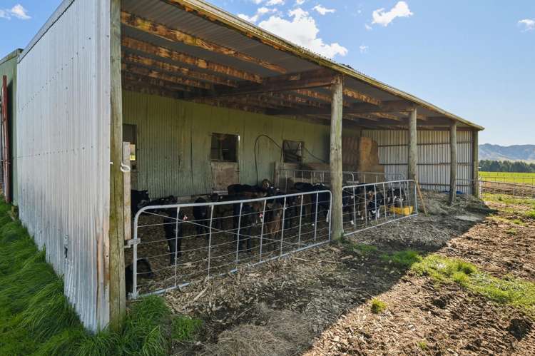 224 Handcock Road Reporoa_13