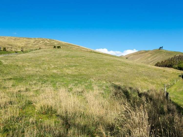 30a Elisha Drive Witherlea_6