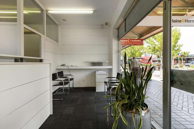 12 George Street Blenheim Central_4