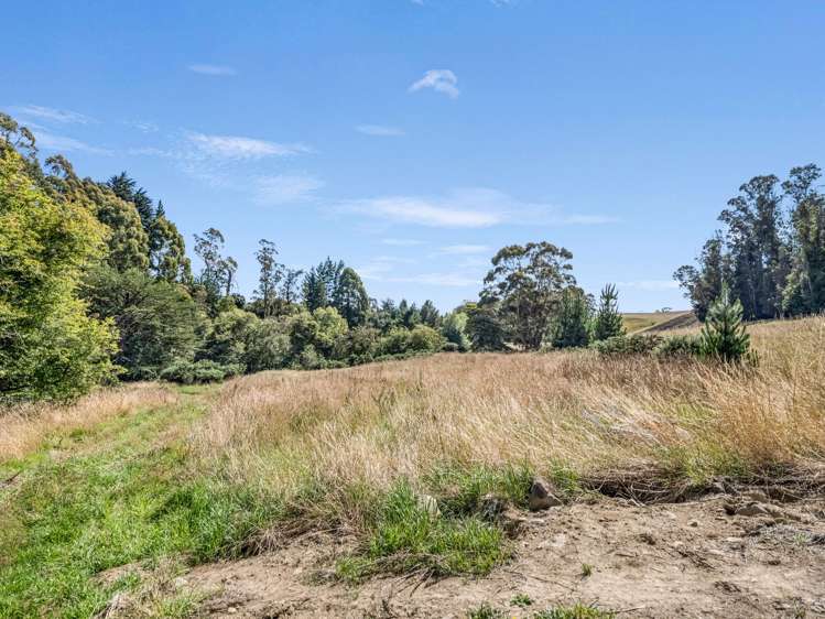 2705 Waikouaiti-Waitati Road Waikouaiti_10