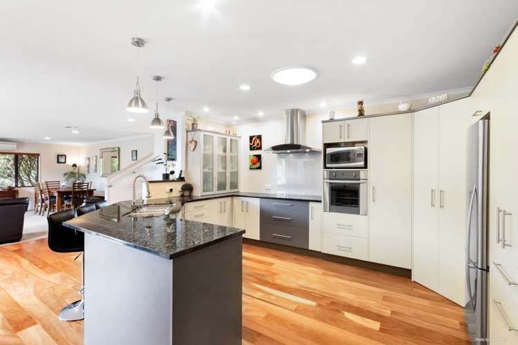 19 Ina Ville Drive Pukekohe_0