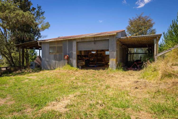 236 Willoughby Road Tahawai_21