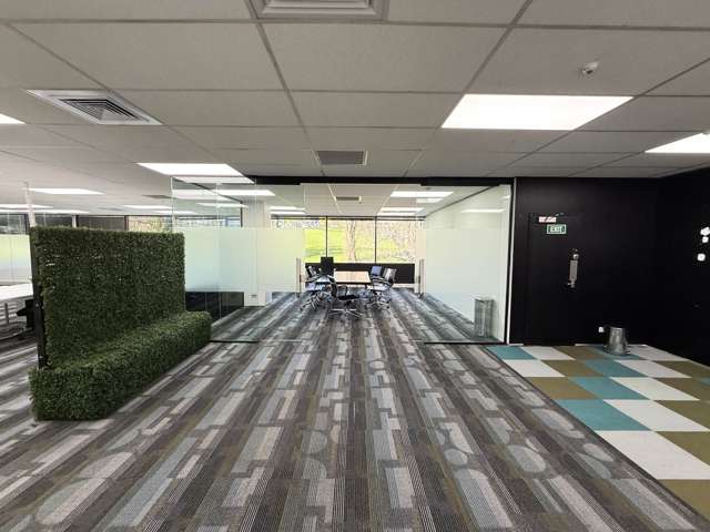 2A Augustus Terrace Parnell_2