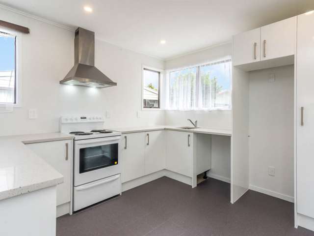 30 Tony Segedin Drive Avondale_2