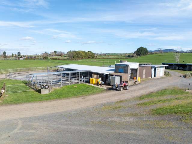 1 Gunn Road Matamata_4
