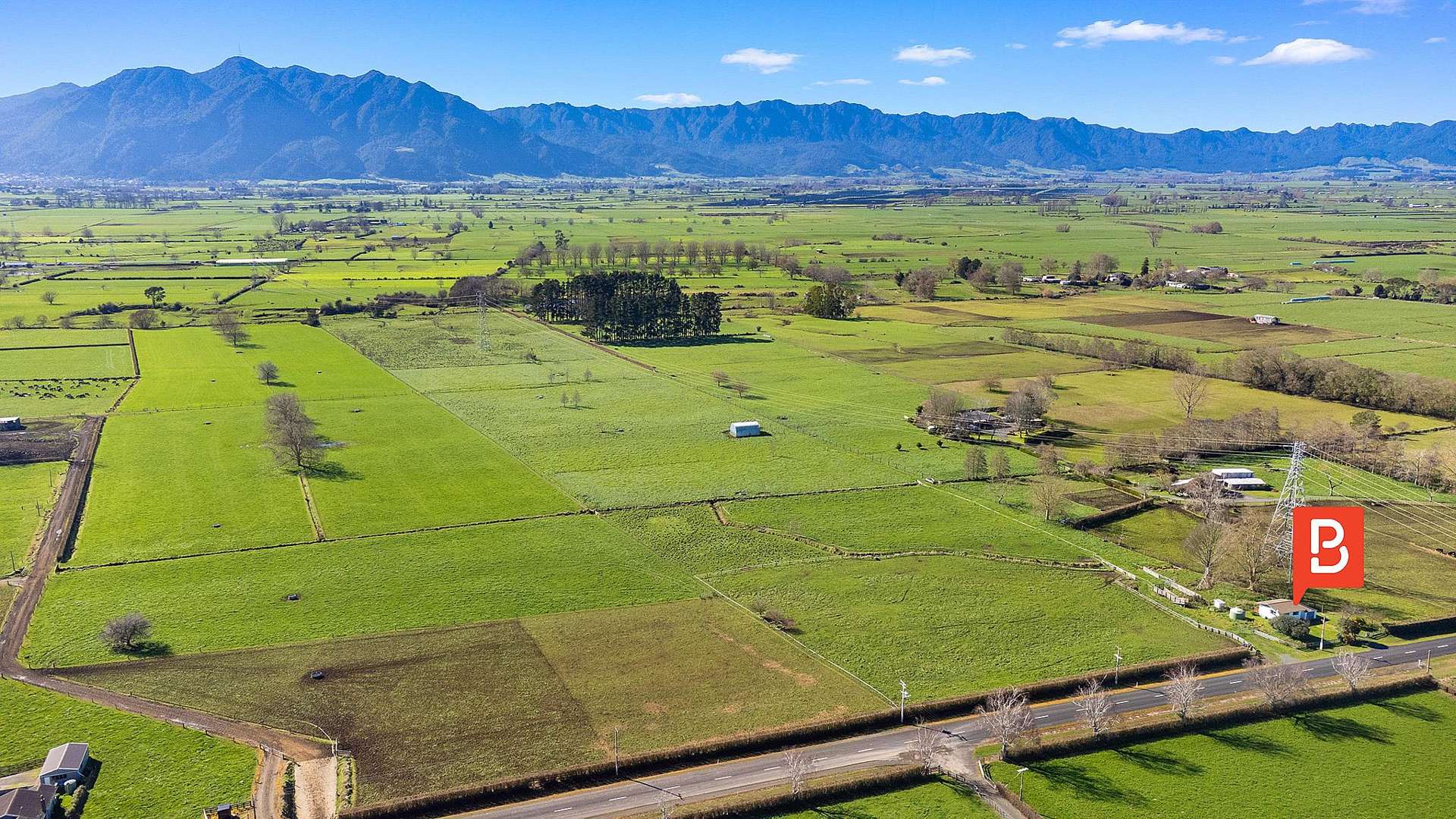 137 Seddon Road Morrinsville_0
