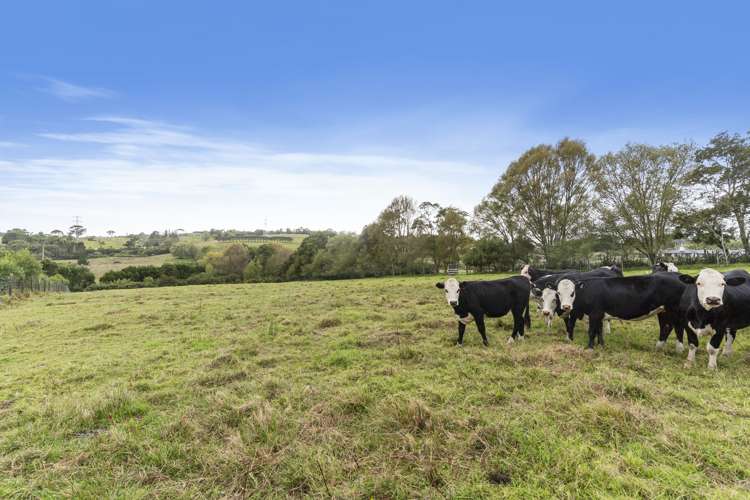 44 Follies Way Dairy Flat_6