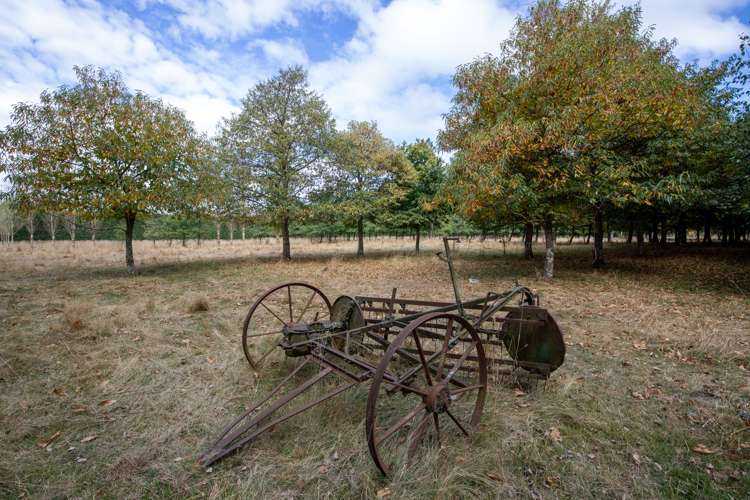 1334 Old West Coast Road West Melton_29