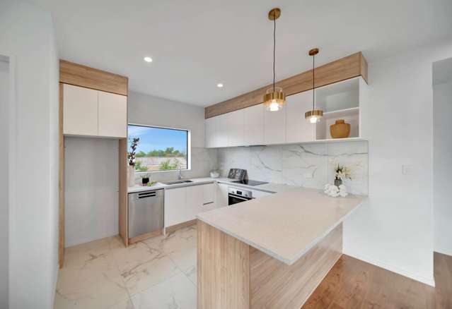 723B Massey Road Mangere_4