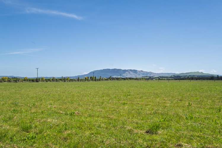 136 Purchas Road Amberley_9