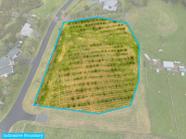 2 Trig Road | Tuakau | Franklin | Houses for Sale - One Roof