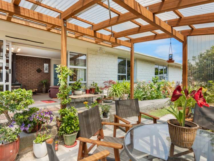 11 March Street Spring Creek_3