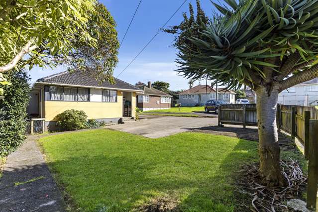 1 Bardia Road Panmure_2