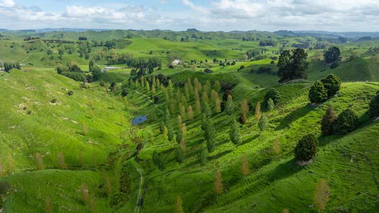 1163 Mangamako Road Ohingaiti_25