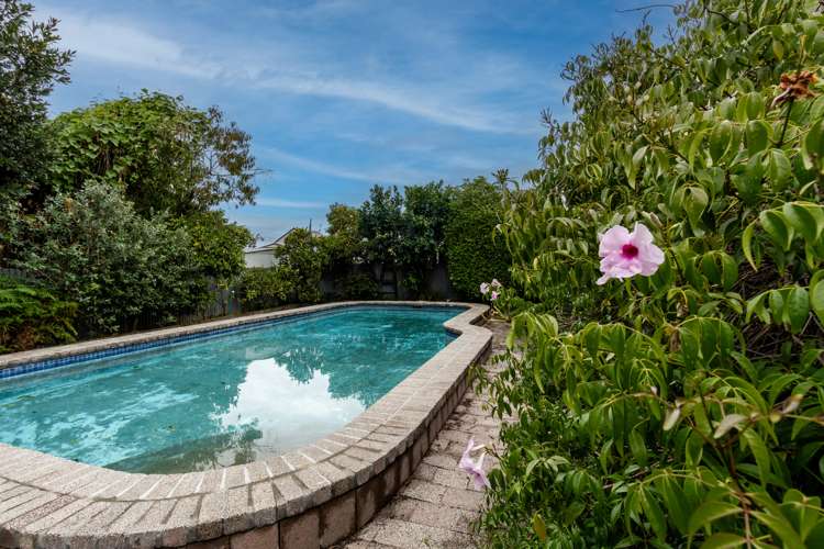 1015 Totara Street Mahora_16