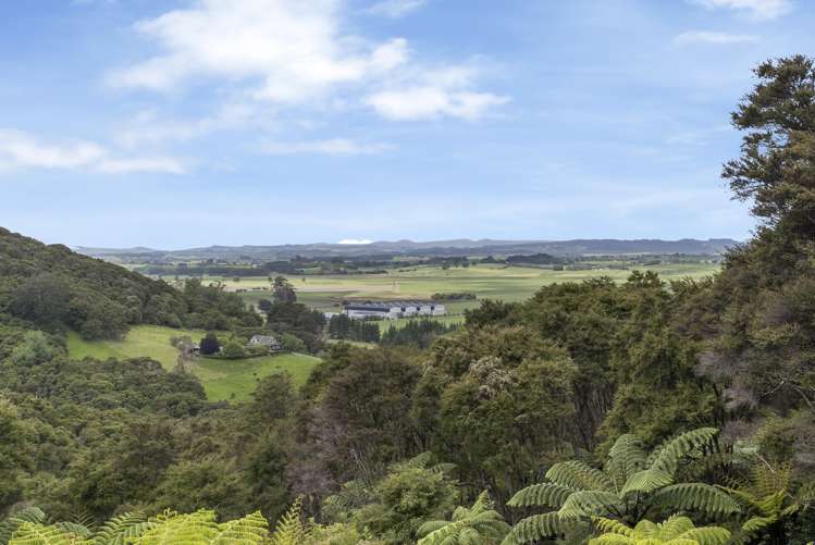60 Pinnacle Hill Road Mangatawhiri_7