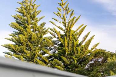 63 Hartley Terrace_4