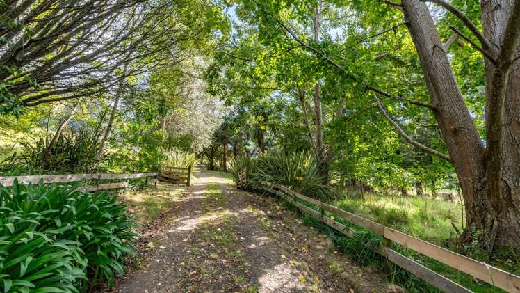 8 Shadbolts Road Pigeon Bay_2