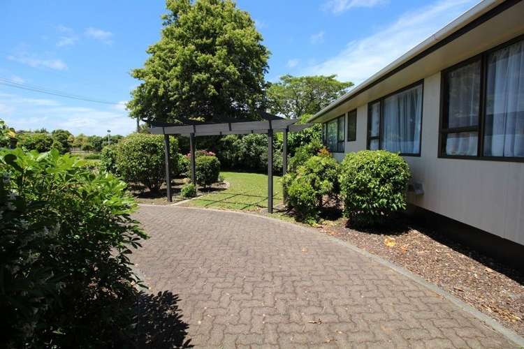 15 Wilson Street Bulls_50