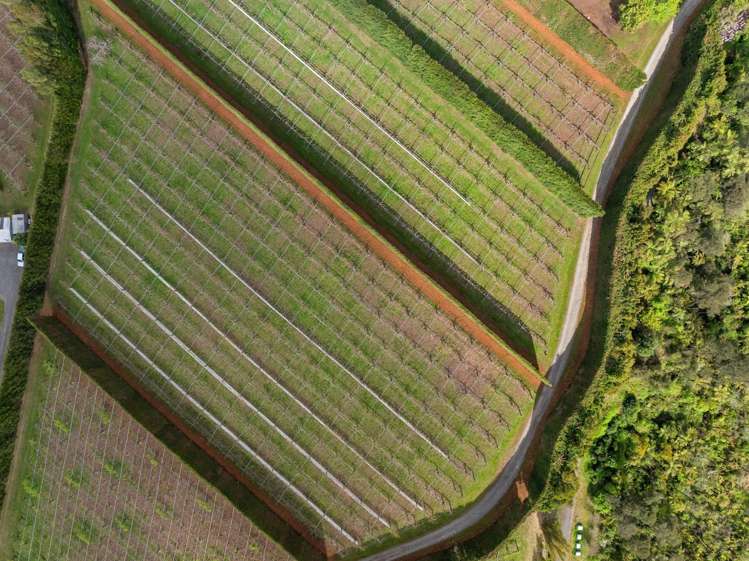 863 State Highway 2 Tanners Point_7