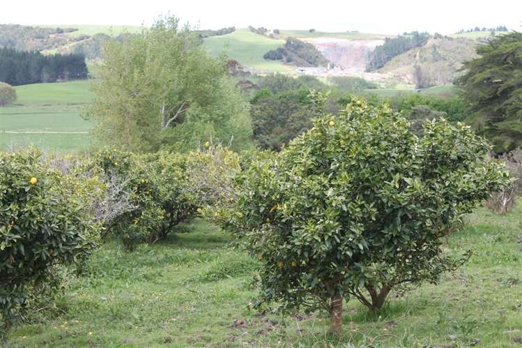 119 Rusk Road Hukerenui and Surrounds_12