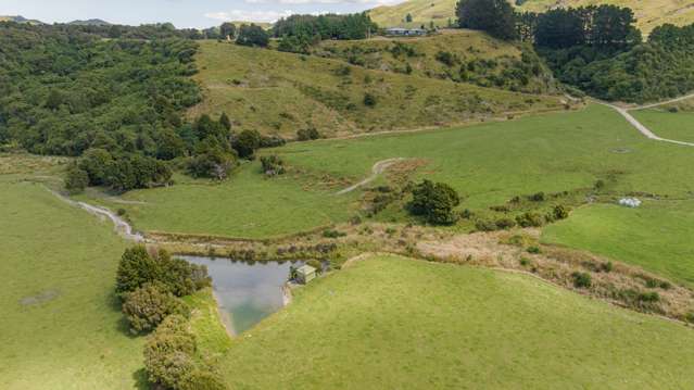 172 Kakariki West Road Eketahuna_3