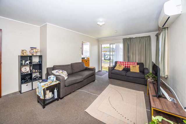 46 Livingstone Avenue Nawton_4