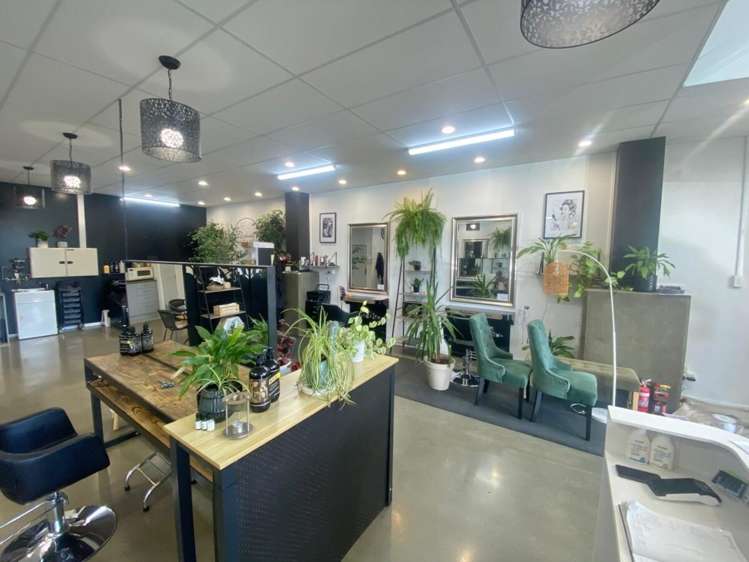 1 Dickens Street Napier South_4