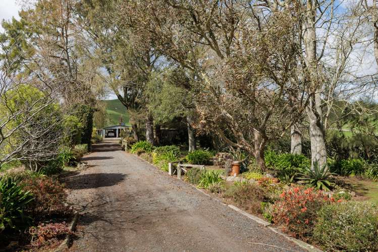 652 Tainui Road Morrinsville_19