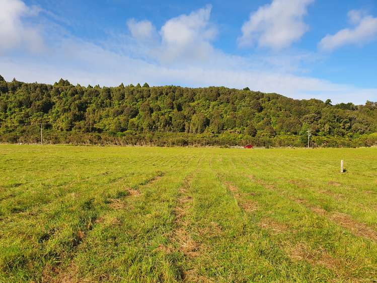 Blue Spur Road Hokitika_10