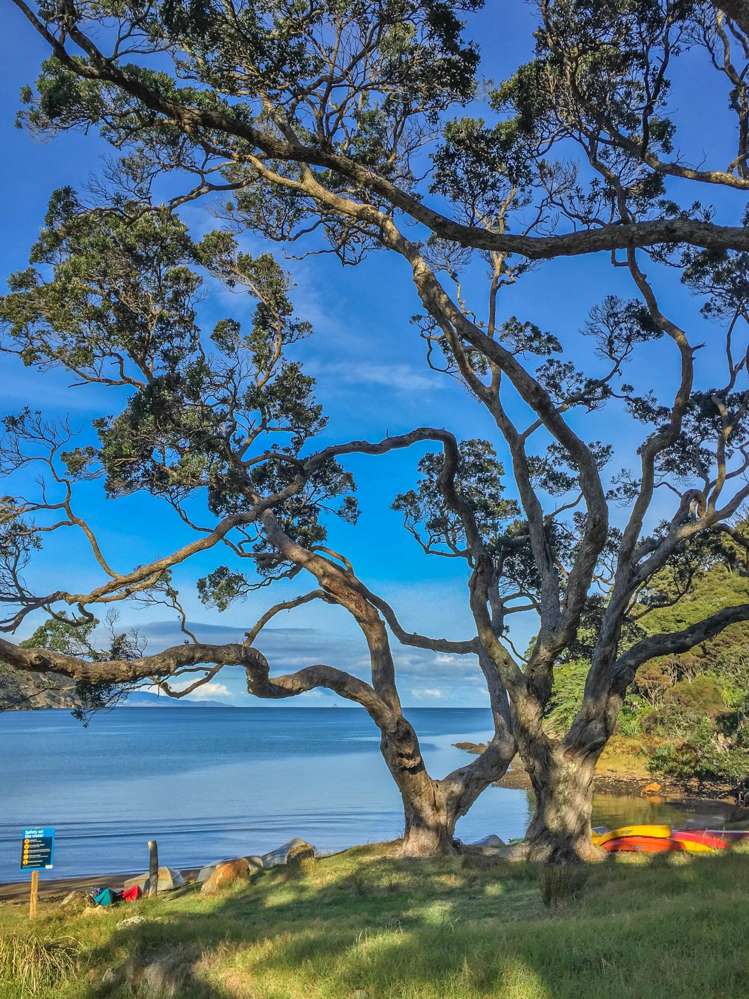 137 Sandhills Road Great Barrier Island_17