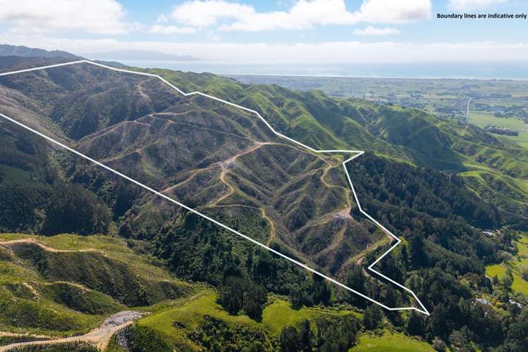 170 Mangaone North Road Te Horo_20