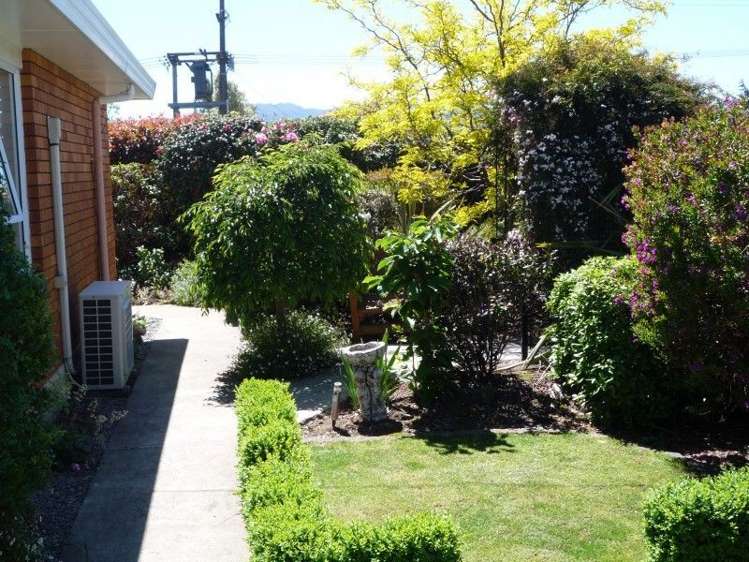 30 Clyde Street Renwick_4