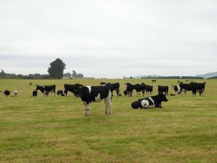 249 Ashley Downs Road Clinton and Surrounds_10