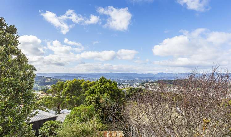 6/25 Mana Street Vogeltown_14