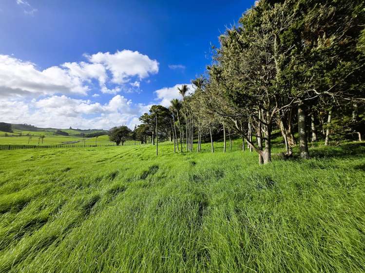 Lot Lot 3 Sills Road_5