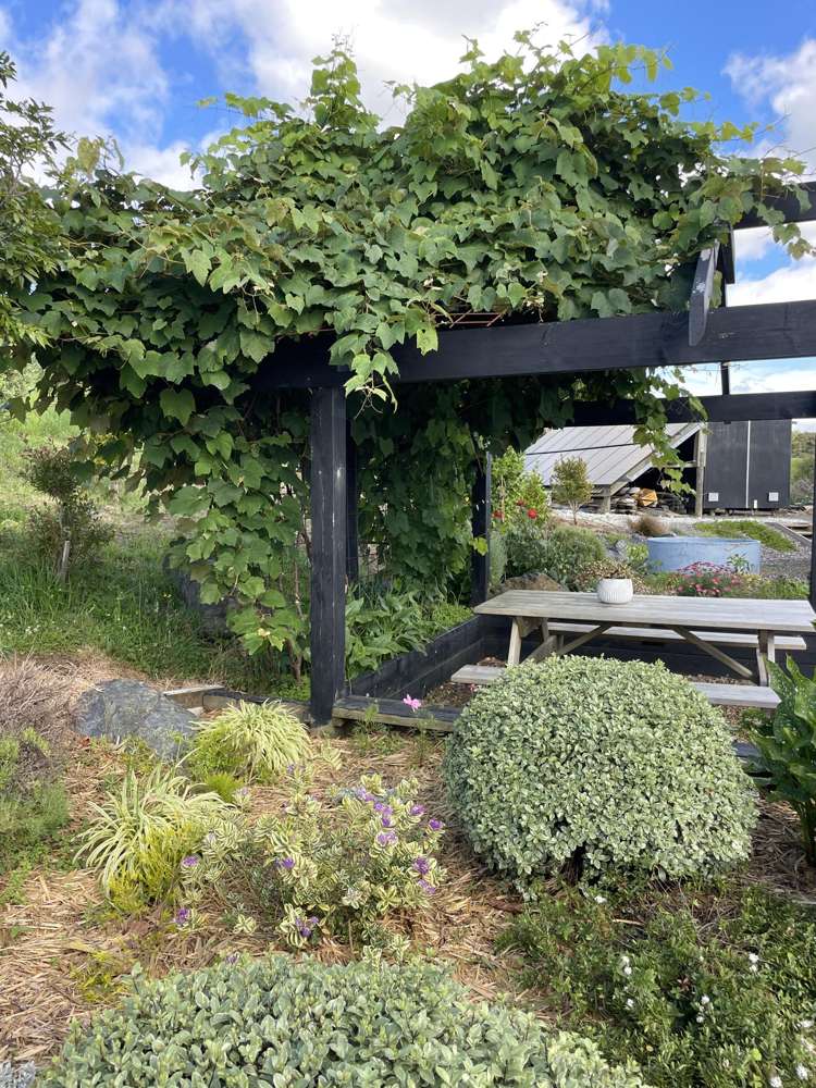 852 Oneriri Road Kaiwaka_33